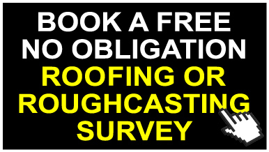 Roof survey information
